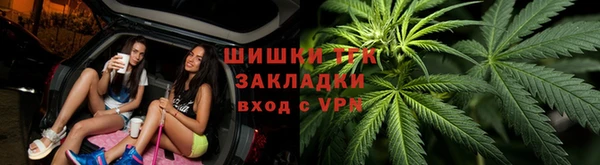 PSILOCYBIN Пересвет