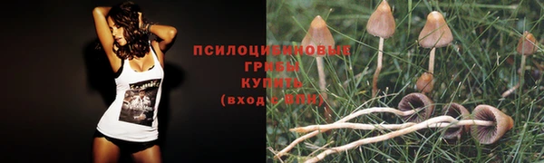 мяу мяу мука Воткинск