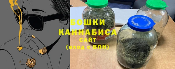 молекула духа Осинники