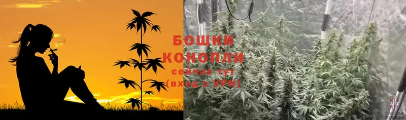 продажа наркотиков  Нижняя Тура  Конопля Ganja 